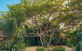 Villa Mango Jeri